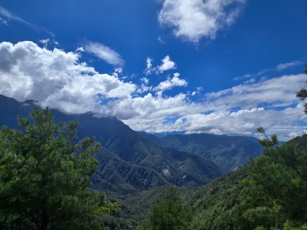 塔塔加步道（大鐵杉登山步道）2883110