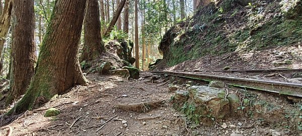 2026/03/18 加里山+大坪山 O型3020015