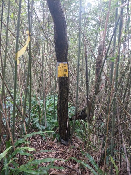 新店小獅山訪11座涼亭縱走待老坑山尋山頭902175