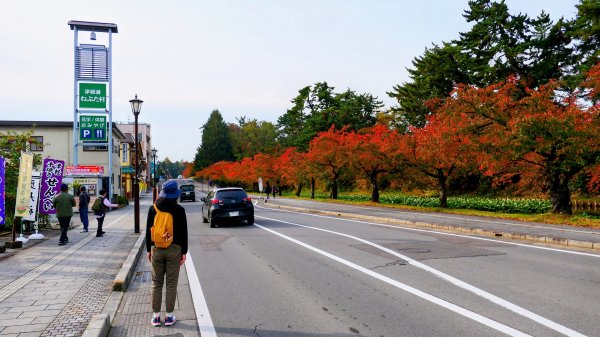 青森縣津輕藩睡魔村2929951