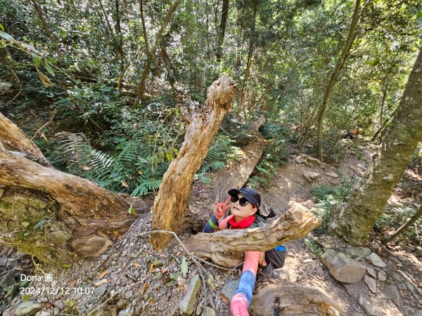 【谷關七雄】波津加(H1771.6m)肉腳配速成功2670428