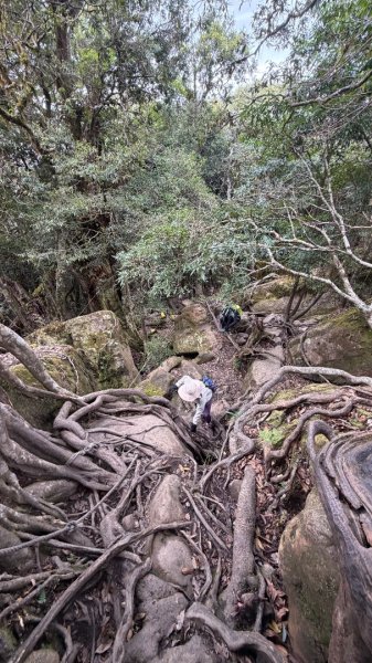 加里山 2025 12/282971698