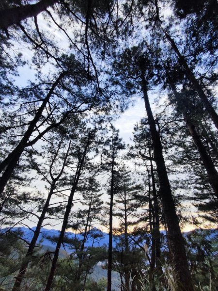 單攻志佳陽2725300