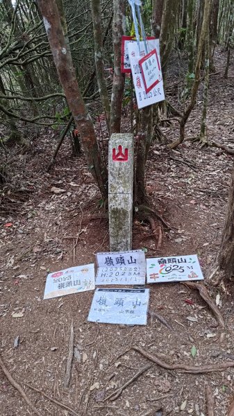 金柑樹山2759440