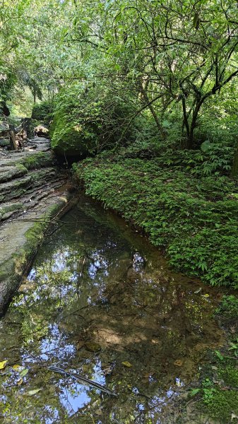 柴寮古道、中坑古道2814659