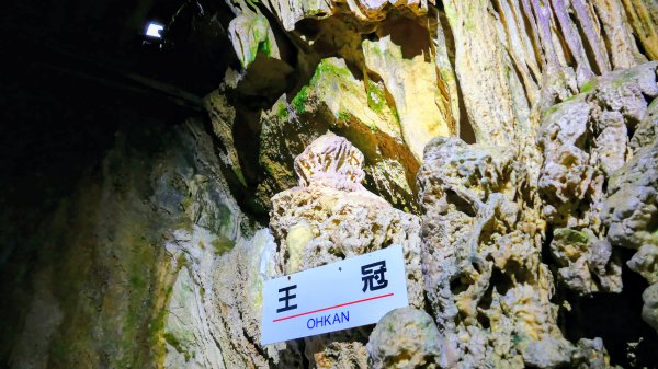 地心年輪之飛驒大鐘乳石洞2982431