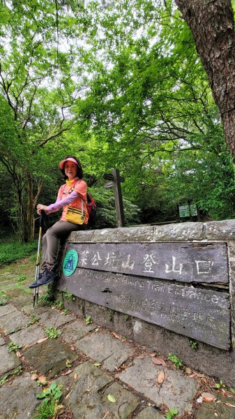 百拉卡公路人車分道菜公坑山賞花趣2120335