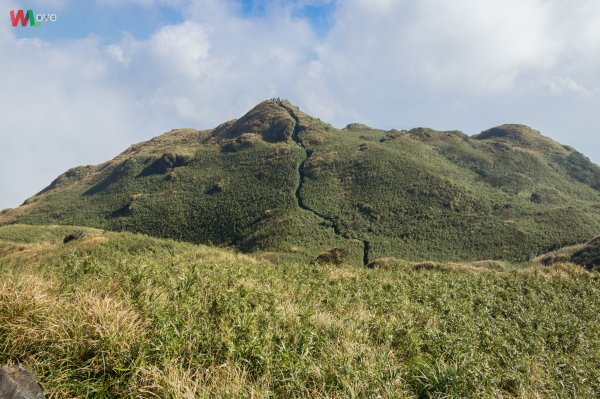 WL 愛旅行【凱達格蘭山】501091