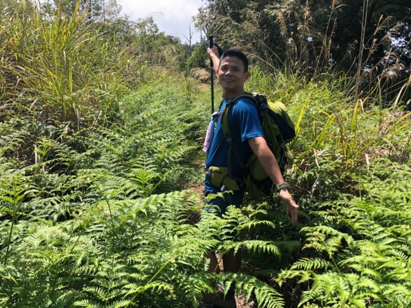 鹿屈山.水漾森林1405061