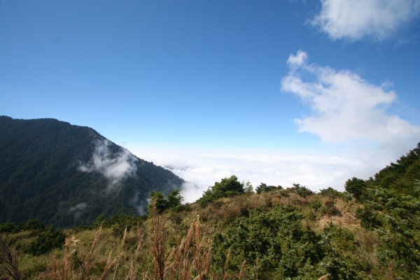 高雄 桃源 台東 海端 庫哈諾辛山 關山嶺山2832185