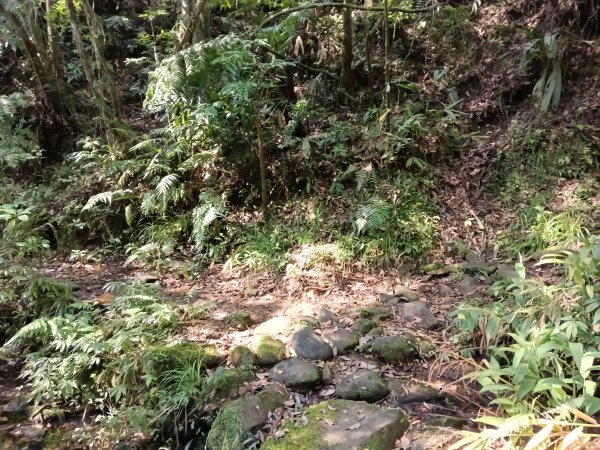 崩山坑古道+東柑腳山+後寮仔嶺+後寮子古道+後寮仔保甲路O型2750942