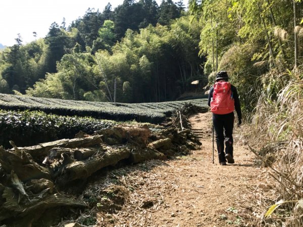 瑞太古道走奮瑞上雲載山549337