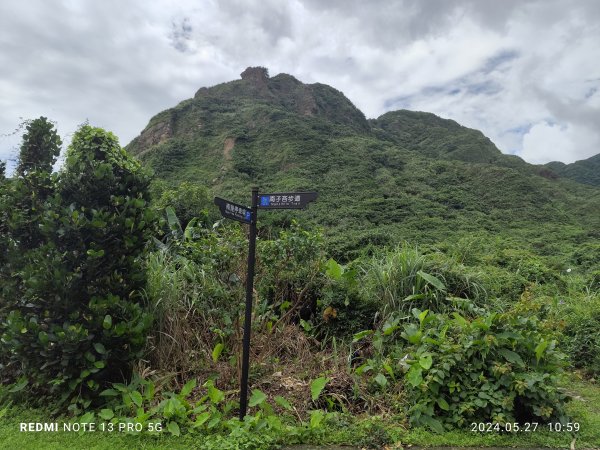 南子吝登山步道【踢不爛大地遊戲】2513425