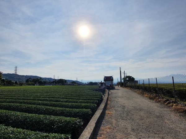 【社頭】十八彎古道連走中央嶺步道1740723