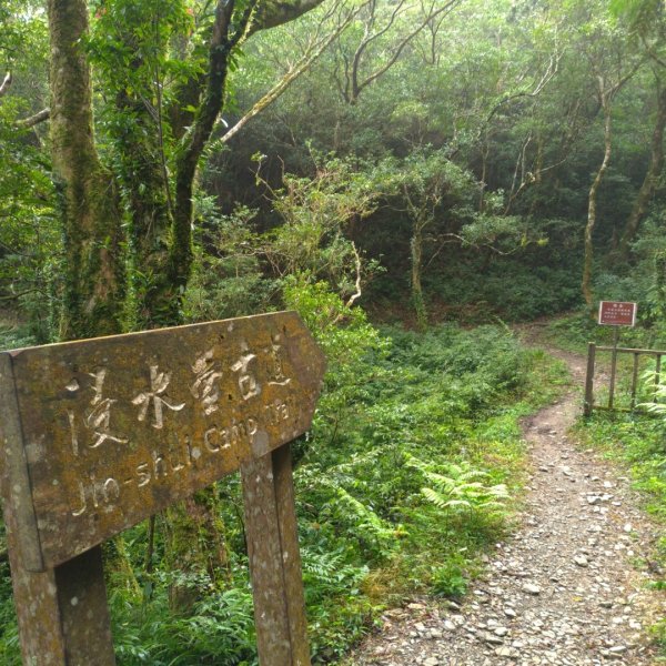 水森林姑子崙山---浸水營國家步道835759