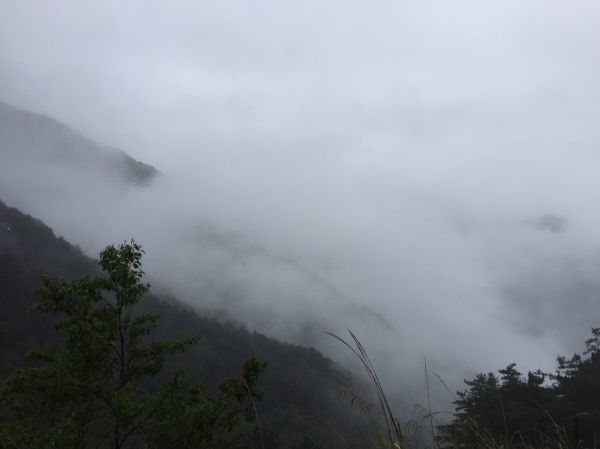 奇萊南華 (能高北峰)288868