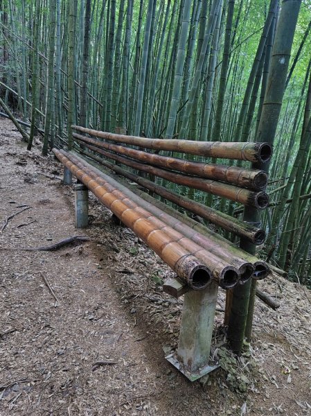 長壽山、肥崠山、醜崠山、大崠山、大崠山經建版2931549