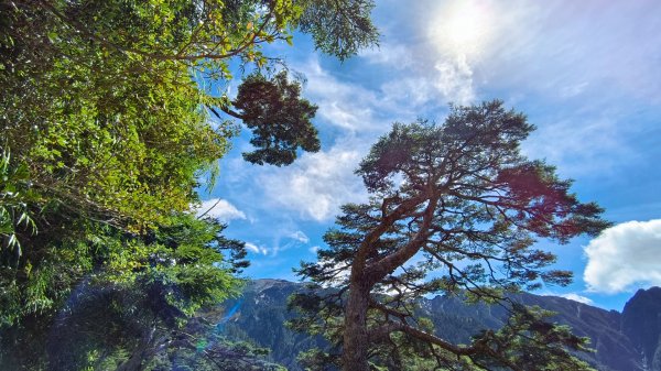 玉山北/西峰（排雲雲海/夕陽/下雨）1496062