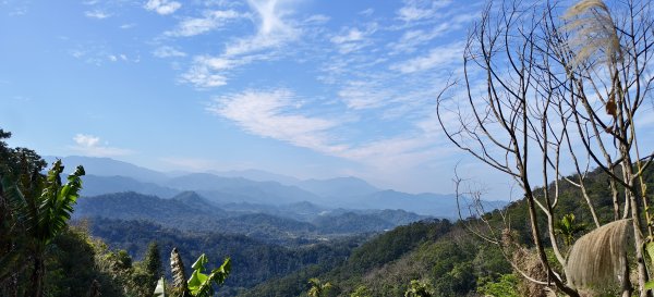 2025/03/01_打牛崎+八寮古道O型2724114