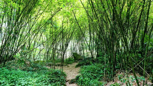 番王厝,番婆厝,王子厝,公主厝2827601