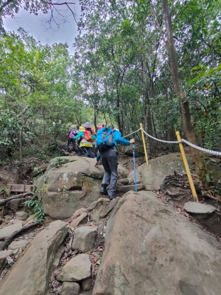 ［金劍縱走］（金面山~劍潭山）（2023/11/14）2352819