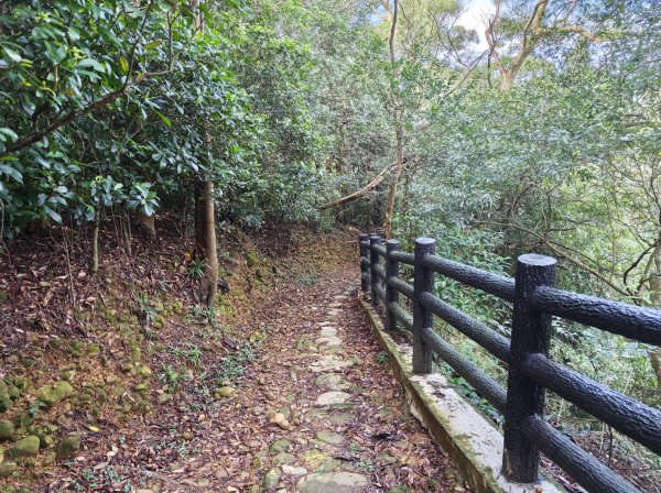 [皮皮獅動物派對-03/10] 2026_0822 石光古道(老虎山步道)3120811