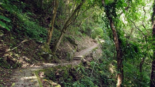 茄苳瀑布,和尚頭山,四分尾山,大尖山2241930