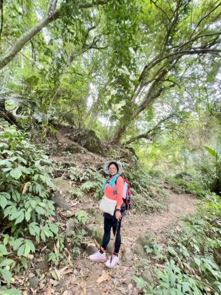 鳴鳳山古道群走鳴鳳山 三湖山吃仙草冰2923272