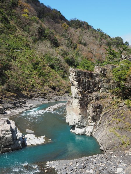 [新竹]司馬庫斯神木步道527152