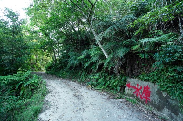 新北 烏來 火燒樟山、落鳳山2557680