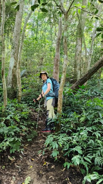 外鳥嘴蓮包山O縱2893170