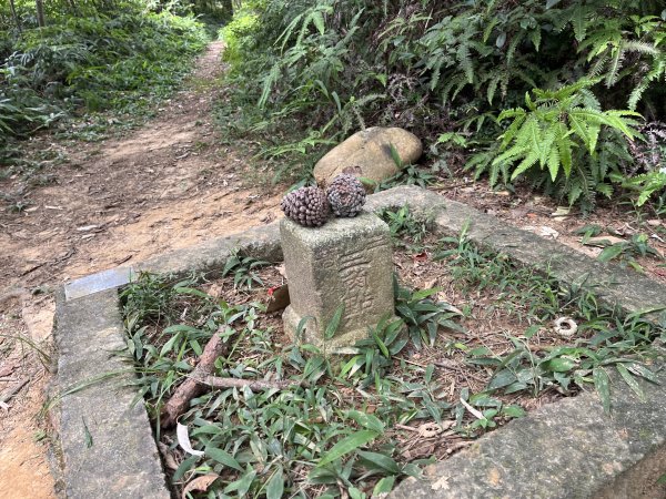 [皮皮獅探險隊-05/10] 2025_0706 石光古道2831862