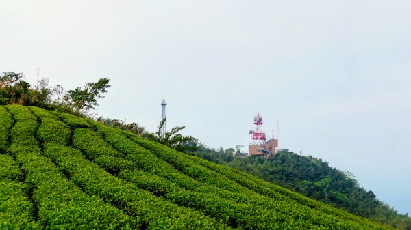 雲嘉五連峰2948642