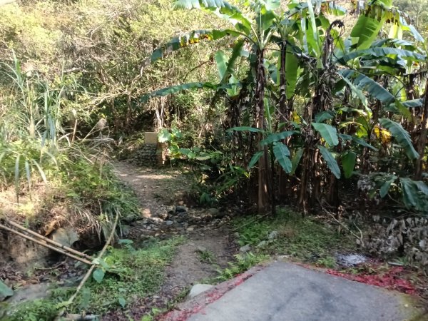 頭城鎮外澳車站+石空古道+太和山步道+蛇頭觀景台+象寮古道+烏山古道+外澳車站O型3018458