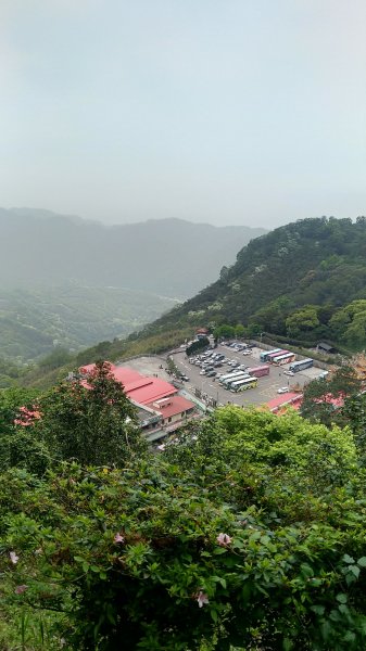 【苗栗仙山】忽聞苗栗有仙山，山在虛無飄緲間1354696