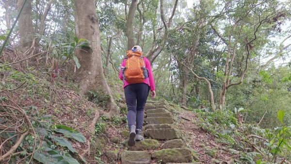 (姨婆趴趴走)第四十七集:新北土城大暖坑山等諸峰攀登連走2738761