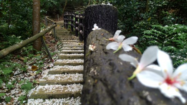 高峰植物園684206