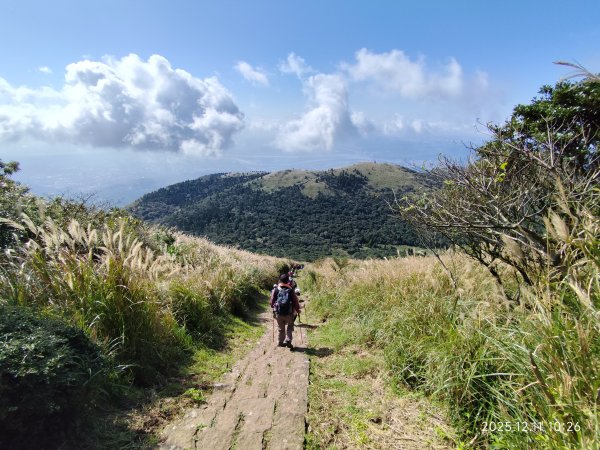 【臺北大縱走 2】【第二回合全程完成證書】鞍部→大屯山步道→大屯山主峰→大屯坪步道→二子坪步道2960391