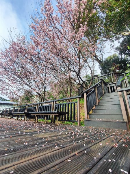 2026台北大縱走3014254