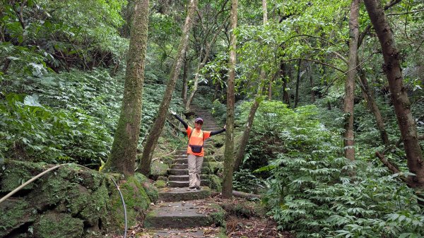 114.11.15平溪小黃山段-望古瀑布段之旅2937799
