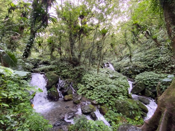 步道巡訪員 l 109年10月份聖母山莊步道巡訪1155777