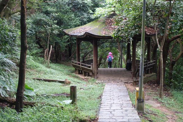 虎山自然步道．麗山橋口步道1098207