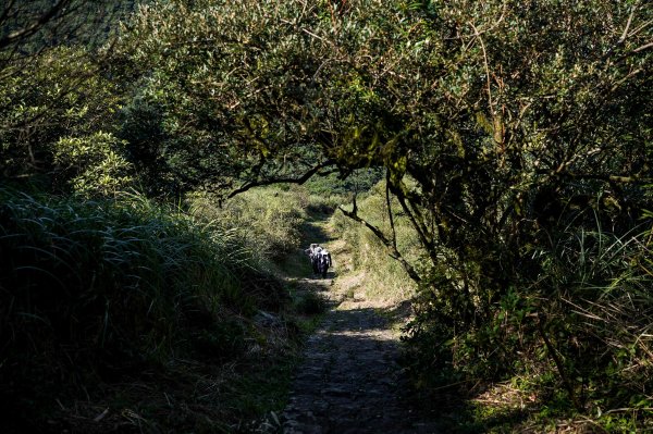 大屯山連峰步道｜陽明山小百岳2856258