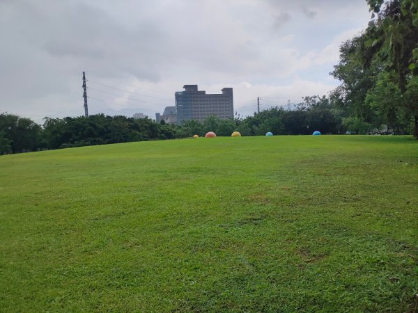 ［健康大穀東］（27~28）：天母運動公園+美崙公園（2023/8/11）2253736
