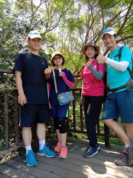 《夏日大坑同行記｜10號步道登稜線，與家人感受山風與人情味》2926364