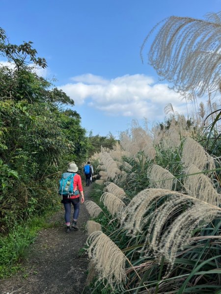 2025-01232淡蘭古道北二段(燦光寮古道到澳底)2696719