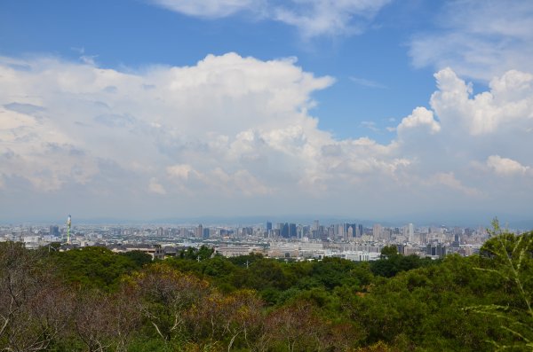 王田山 & 學田山1072876