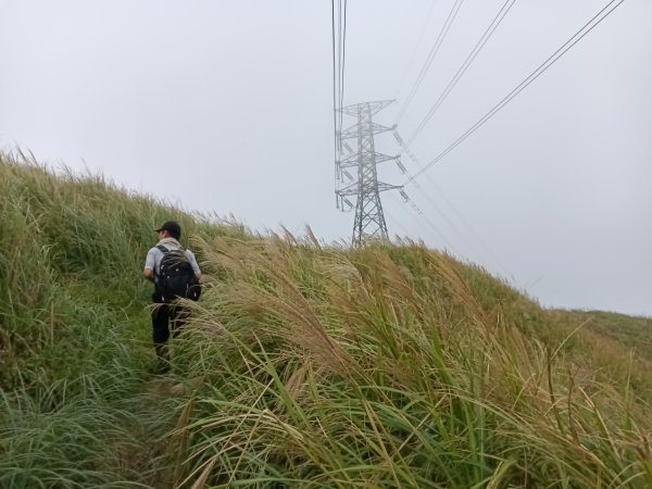雙溪區不厭亭+草山公路+牡丹山+不厭亭+金字碑古道(探幽亭)+三貂崙+不厭亭8字走2941917