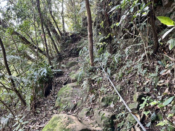 桃園金面山2752282