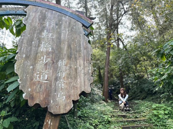 溪頭天文台 空中走廊 神木林道 賞鳥步道2486076